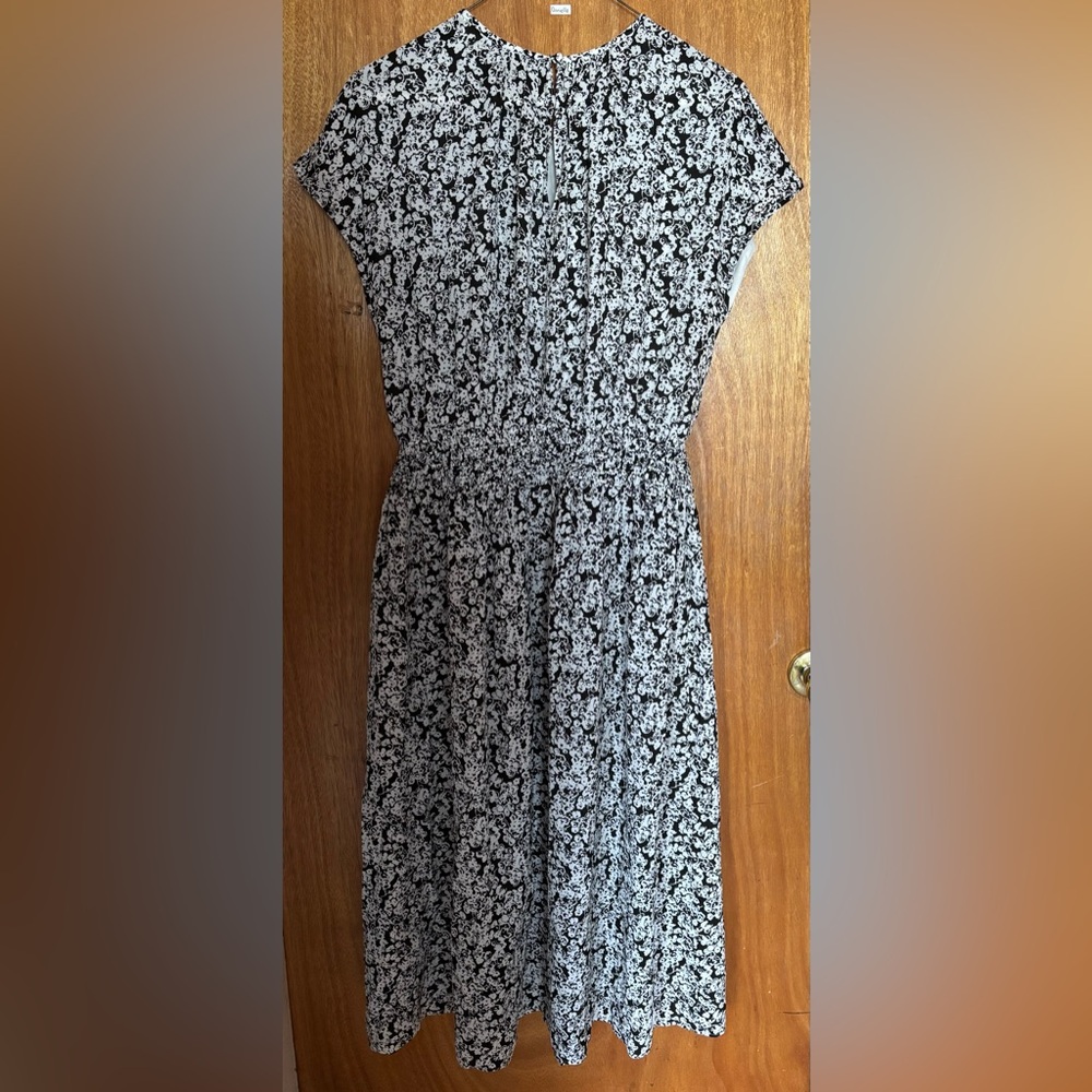 Everlane Black and White A-Line Midi Dress